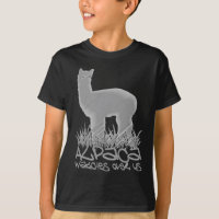 Relógios da alpaca sobre nós