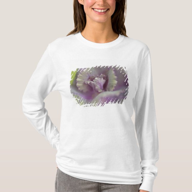 Camiseta Repolho decorativo (Frente)