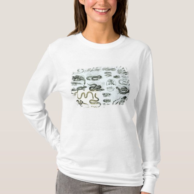 Camiseta Répteis, serpentes e lagartos (Frente)