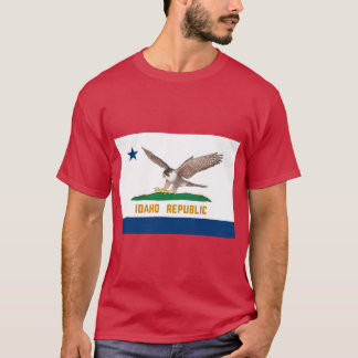 Camiseta República de Idaho Oversized