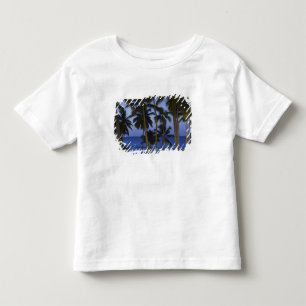 Camiseta República Dominicana, Península de Samana, Las