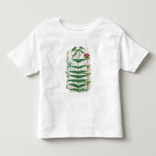 Camiseta Reseda, eufórbio e cravo-da-índia