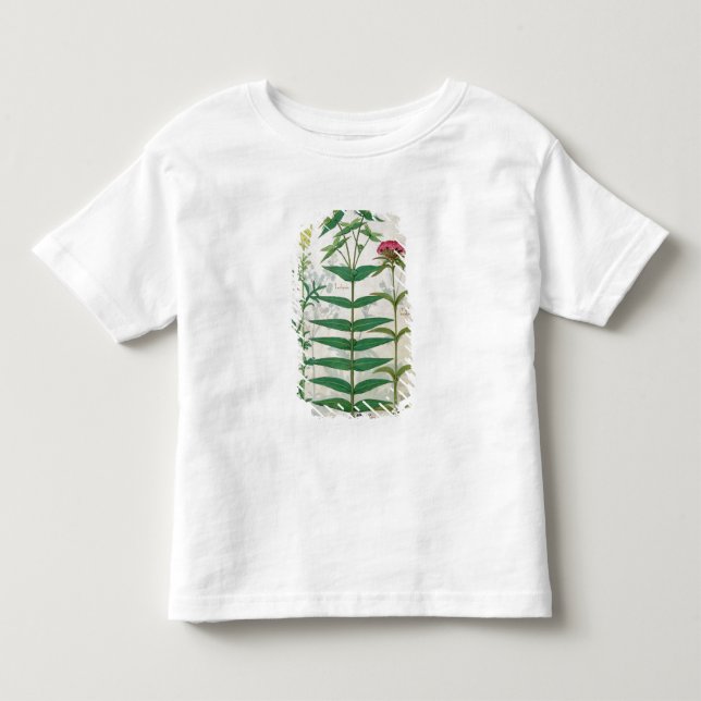 Camiseta Reseda, eufórbio e cravo-da-índia (Frente)