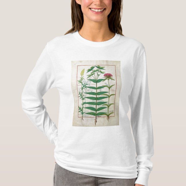 Camiseta Reseda, eufórbio e cravo-da-índia (Frente)