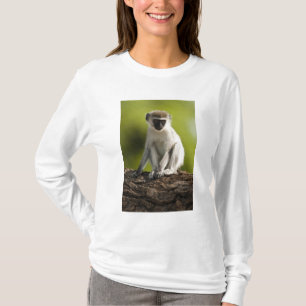 Camiseta Reserva de Caça Samburu, Quênia, Macaco Vervet,
