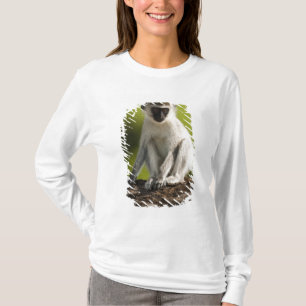 Camiseta Reserva de Jogo Samburu, Quénia, Macaco Vervet,