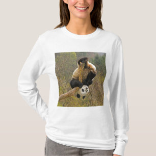 Camiseta Reserva de Pandas Wolong, China, 2 1/2 anos de ida