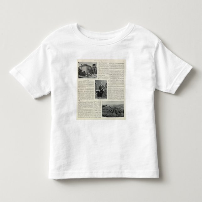Camiseta Residência e pomar em Califórnia (Frente)