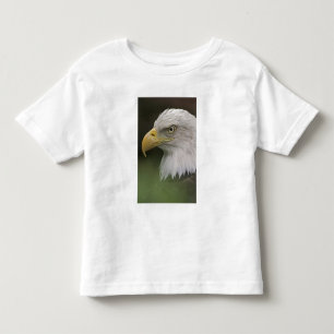 Camiseta Retrato de Águia Americana Adulta, Haliaeetus