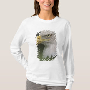 Camiseta Retrato de Águia Americana Adulta, Haliaeetus
