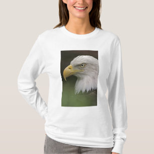 Camiseta Retrato de Águia Americana Adulta, Haliaeetus