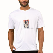 Retrato de Border Collie em Pintura Digital