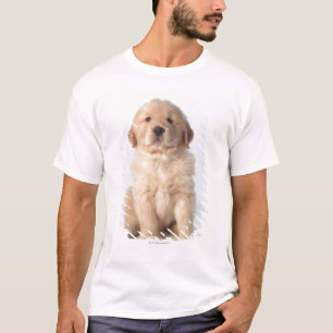 Camiseta Retrato de seis filhotes de cachorro semanas de