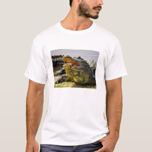 Camiseta Retrato do jacaré americano - frente a frente