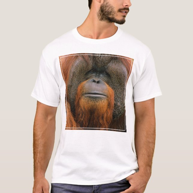 Camiseta Retrato do Orangutango Macho, Geórgia, EUA (Frente)