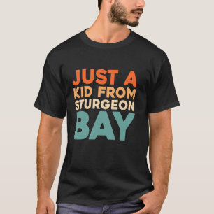 Camiseta Retrô Apenas Uma Criança De Wisconsin Sturgeon Bay
