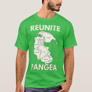 CAMISETA REUNITE PANGEA 4