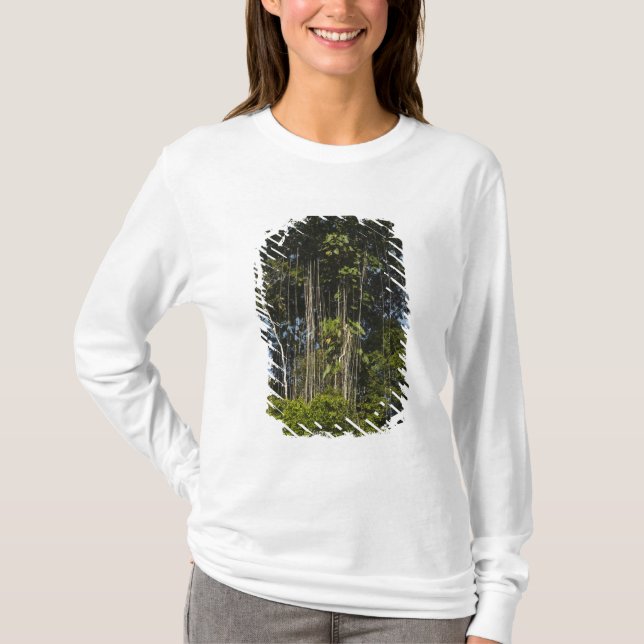 Camiseta Rewa borda do rio Rainforest Guiana (Frente)