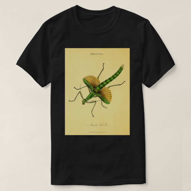 Camiseta Rezando Mantis 21 (Frente do Design)