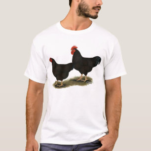 Camiseta Rhode - galinhas anãs do vermelho da ilha
