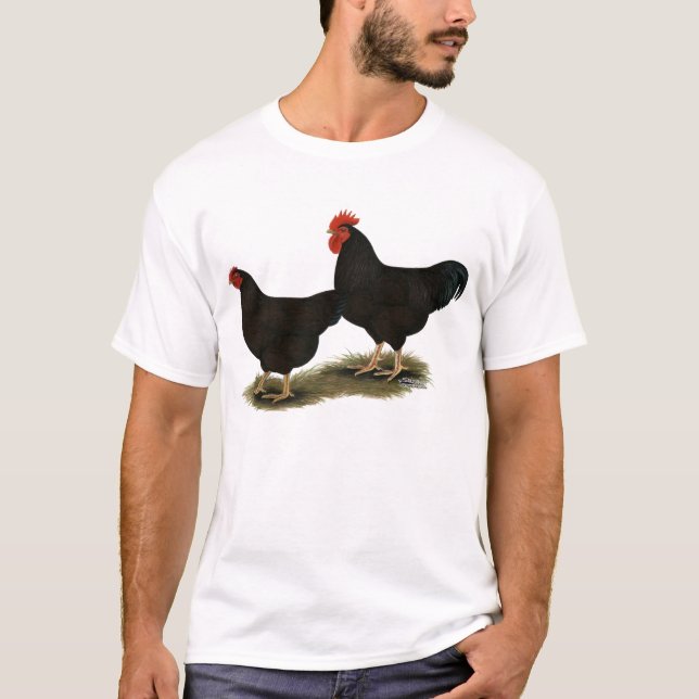 Camiseta Rhode Island Red Bantams (Frente)
