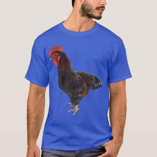 Camiseta Rhode Island Red Rooster
