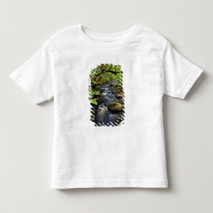 Camiseta Ribeiro flui através da floresta