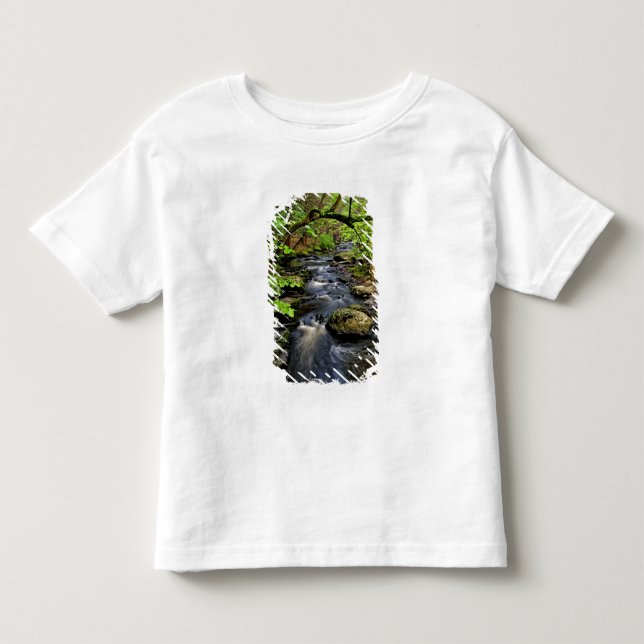 Camiseta Ribeiro flui através da floresta (Frente)