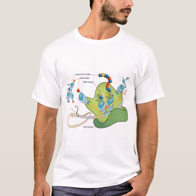 Camiseta Ribosome mRNA tRNA molecules proteins Diagram  (Frente)