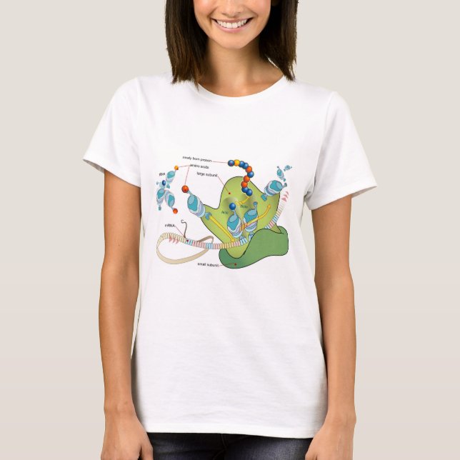 Camiseta Ribosome mRNA tRNA molecules proteins Diagram  (Frente)