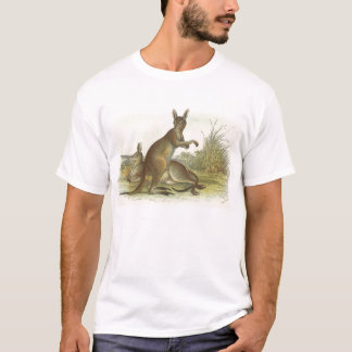 Camiseta Richard Lydekker - Cinza Excelente Kangaroo