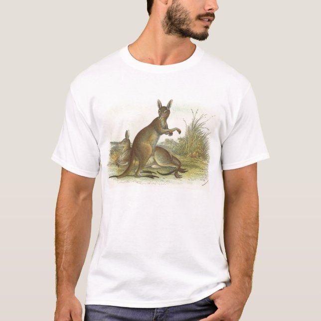 Camiseta Richard Lydekker - Cinza Excelente Kangaroo (Frente)