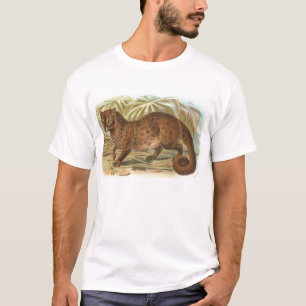 Camiseta Richard Lydekker - Civet de palma comum