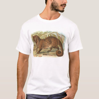 Camiseta Richard Lydekker - Civet de palma comum