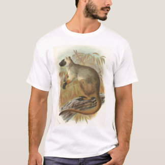 Camiseta Richard Lydekker - Queensland Tree-Kangaroo