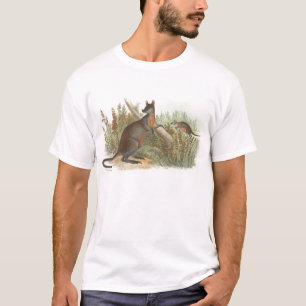 Camiseta Richard Lydekker - Wallaby de Ala Negra