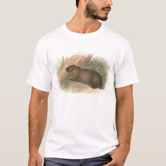 Camiseta Richard Lydekker - Wombat tasmaniano