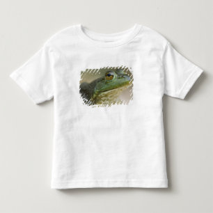 Camiseta Rio Nacional Bufallo, Noroeste do Arkansas