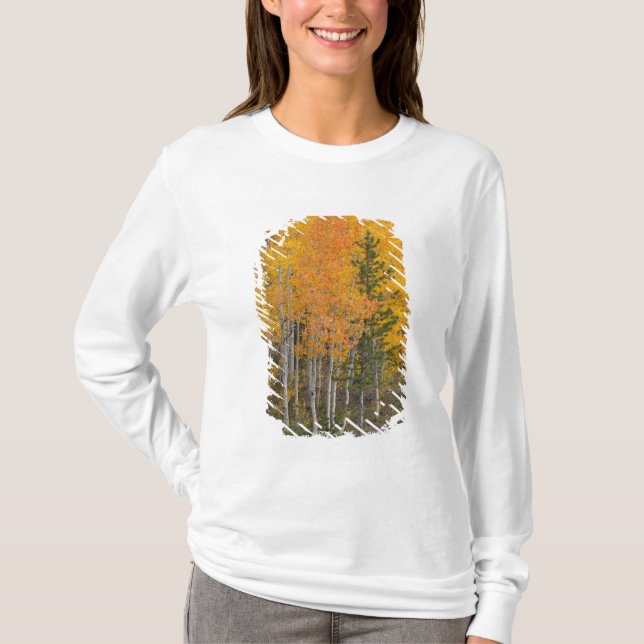 Camiseta Rio Provo e árvores de álamo (Frente)