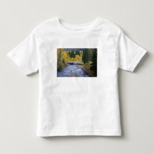 Camiseta Rio Provo e árvores de álamo