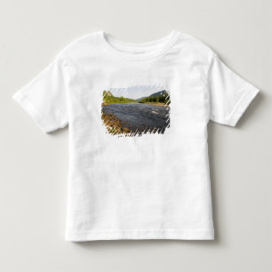Camiseta rio St. Marguerite no Parc du Saguenay.