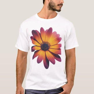 Camiseta Riquezas e enigmas