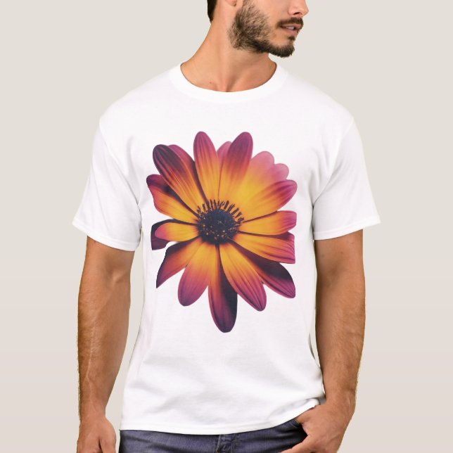 Camiseta Riquezas e enigmas (Frente)