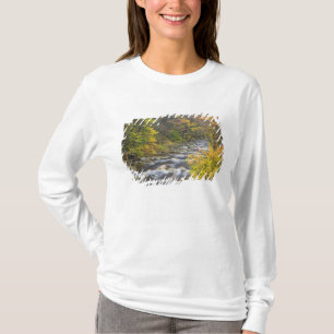 Camiseta Roaring Brook no outono em Vermont Green 2
