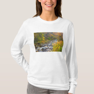 Camiseta Roaring Brook no outono em Vermont's Green 2