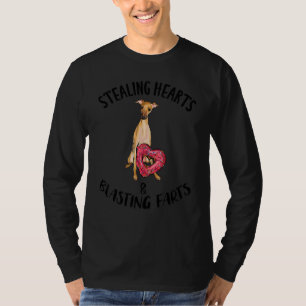 Camiseta Roba Corações Rajada de Gases Galgo Italiano V