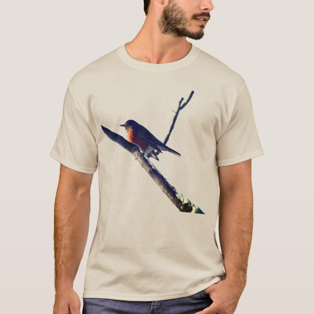 Camiseta Robin na Natureza da Neve (Frente)