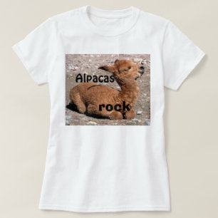 Camiseta ROCHA das alpacas