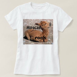 Camiseta ROCHA das alpacas