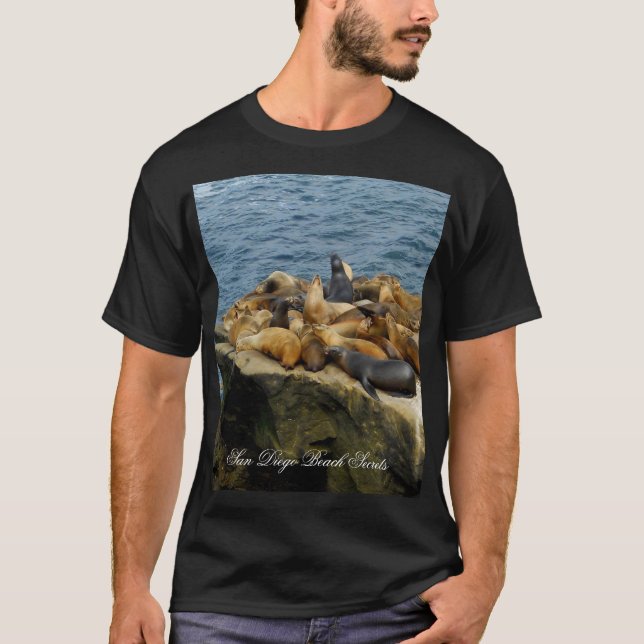 Camiseta Rocha-La Jolla do selo (Frente)